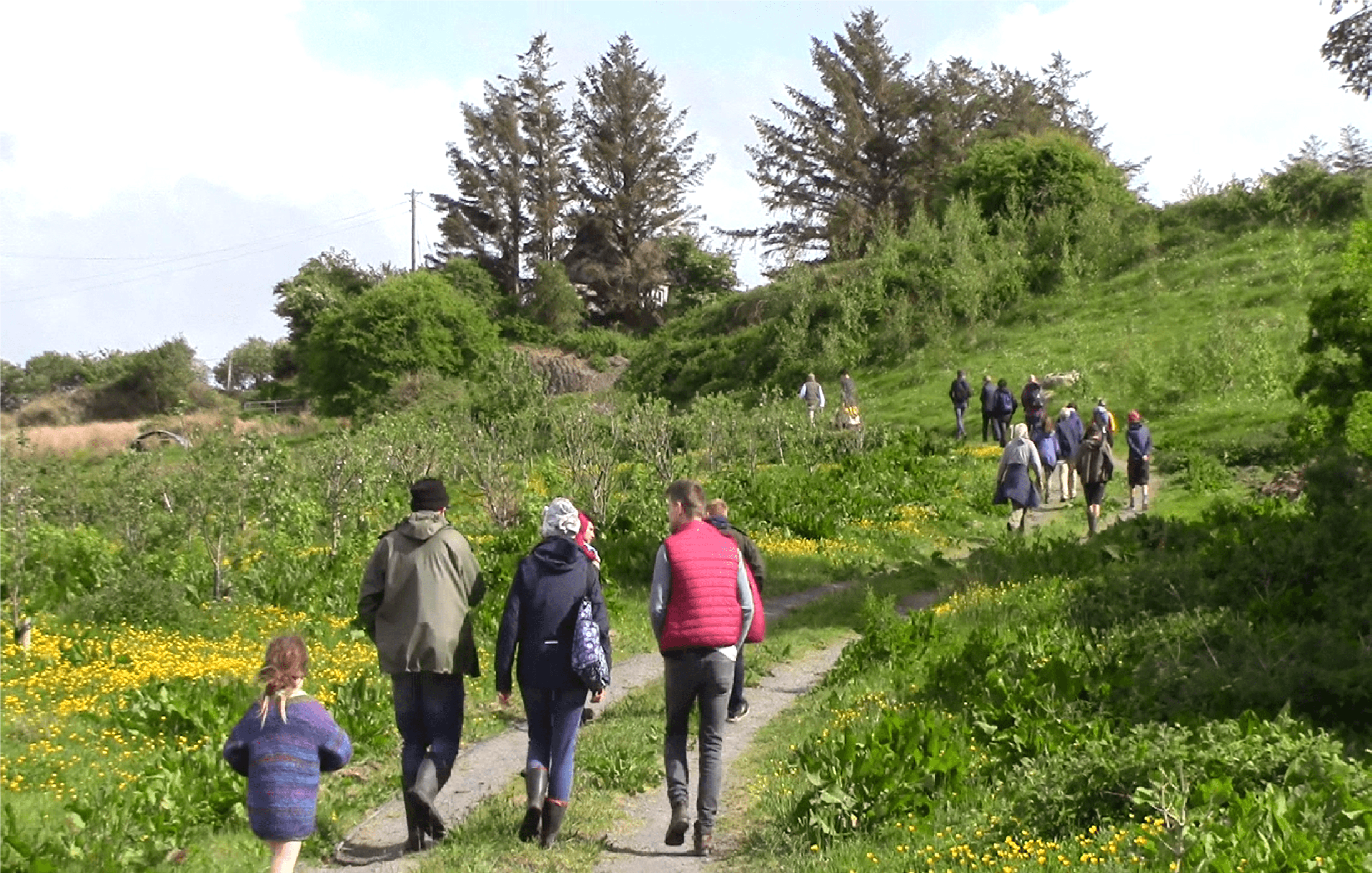 Submission by Talamh Beo to the Department of Agriculture, Food and the Marine on the Statement of Strategy 2025–2027: Farming for the Future: Agroecology, Land Access, and Sustainable Rural Livelihoods