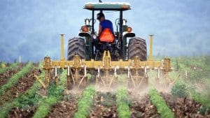 “Food, food everywhere, but hardly a scrap to eat”: Talamh Beo charts path to rebuilding Local Food Systems via ‘Local Food Farms’