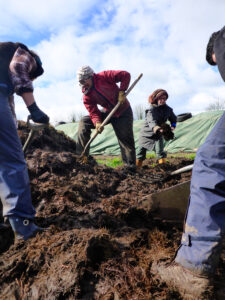 More hands on the land! Talamh Beo call for new incentives for young farmers
