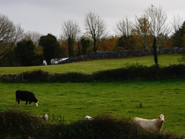 Bord Bia – Why so surprised?