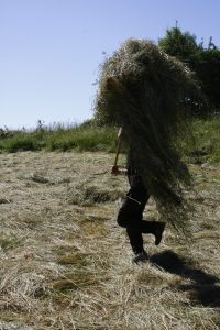 Investing in Ireland’s Resilience and Food Sovereignty: Talamh Beo releases ‘Basic Income for Local Food Farmers’ policy proposal