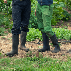 Wellied People in Field